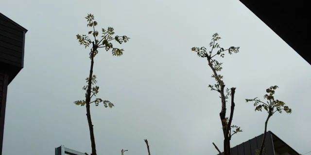 野沢温泉・清風館