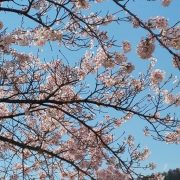 野沢温泉・清風館